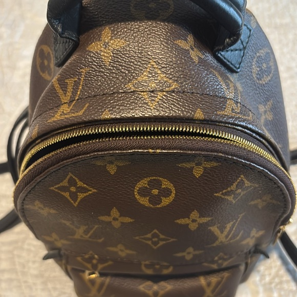 Authentic Louis Vuitton Palm Springs Mini Backpack Purse - Picture 2 of 14